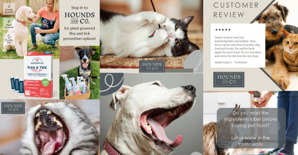 Hounds and Co. Unleashes a New Look In-Store and Online 3 Hounds and Co. Social media examples