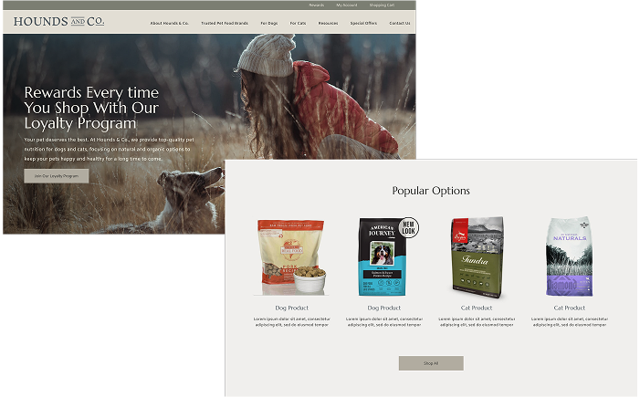 SPARK Case Studies LosLagos Hero 1